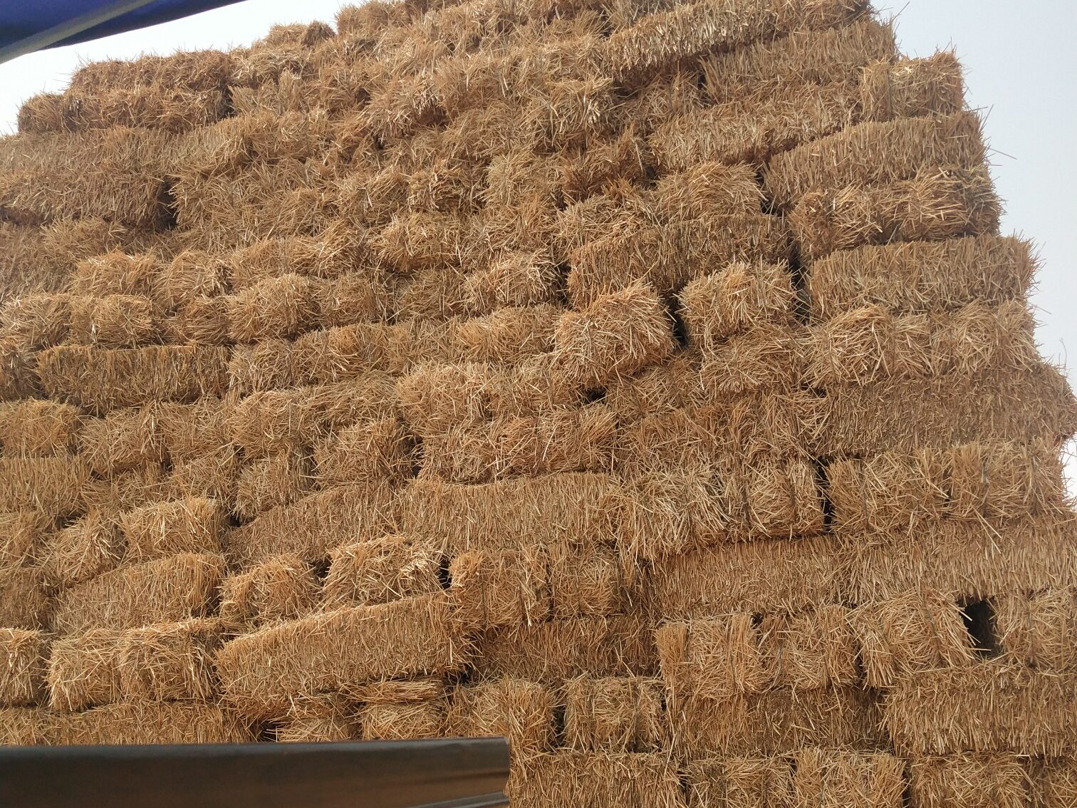 常见的开云球赛_开云球赛中国有限公司原料特点分析插图2 常见的开云球赛_开云球赛中国有限公司原料特点分析插图2