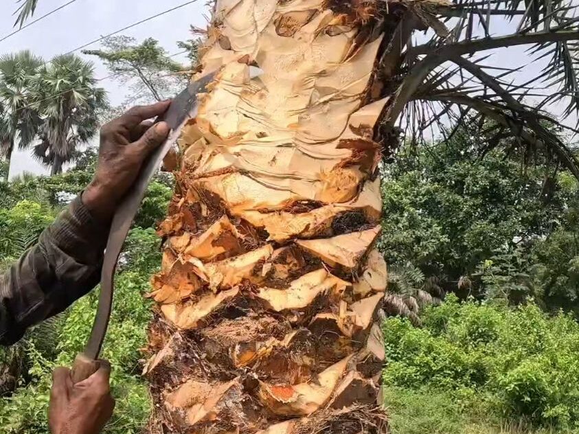 常见的开云球赛_开云球赛中国有限公司原料特点分析插图5 常见的开云球赛_开云球赛中国有限公司原料特点分析插图5