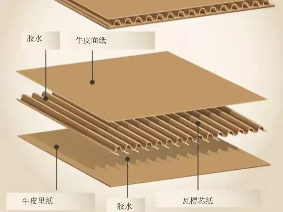 3分钟读懂开云球赛_开云球赛中国有限公司!与瓦楞纸箱的优劣对决插图3 3分钟读懂开云球赛_开云球赛中国有限公司!与瓦楞纸箱的优劣对决插图3