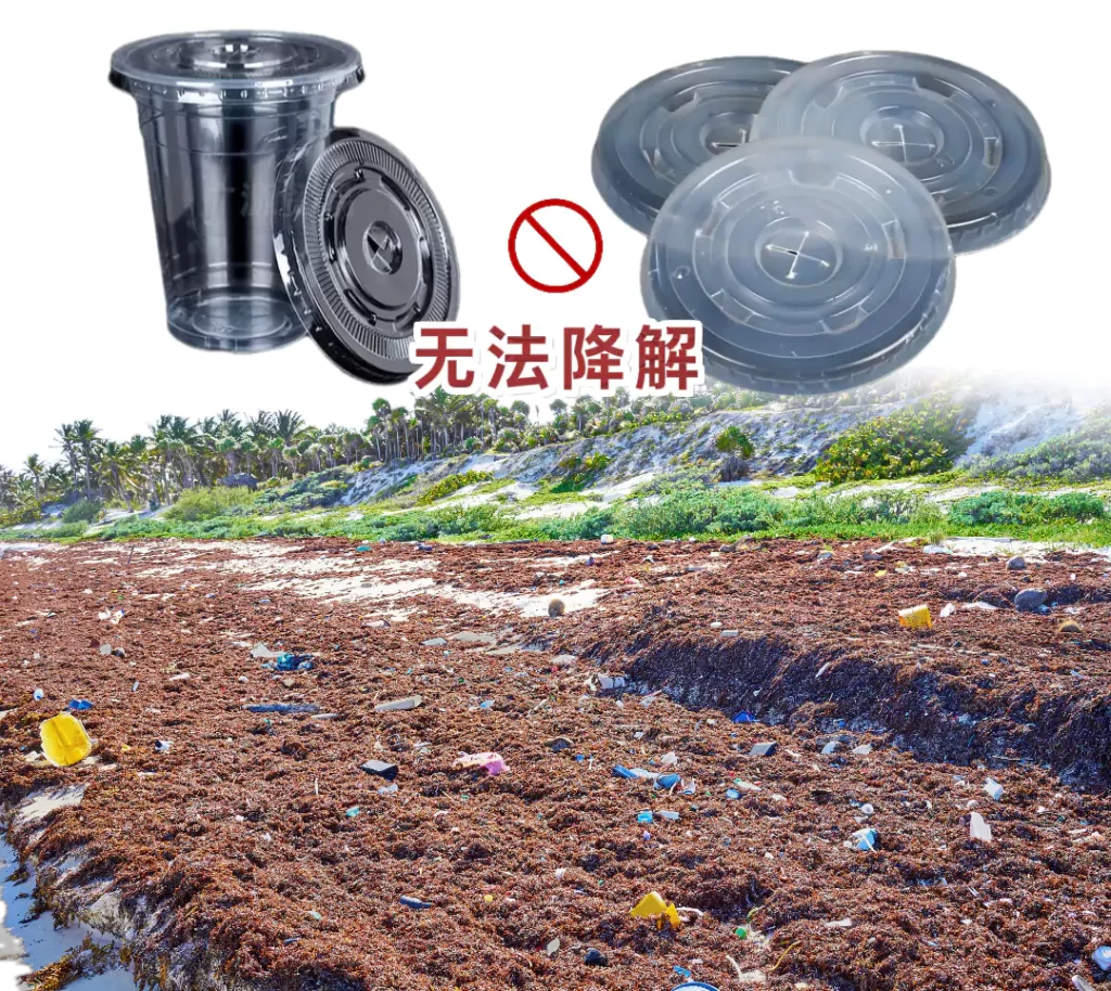 杯盖选对不踩坑!开云球赛_开云球赛中国有限公司VS塑料,环保与实用双赢才是王道插图 杯盖选对不踩坑!开云球赛_开云球赛中国有限公司VS塑料,环保与实用双赢才是王道插图